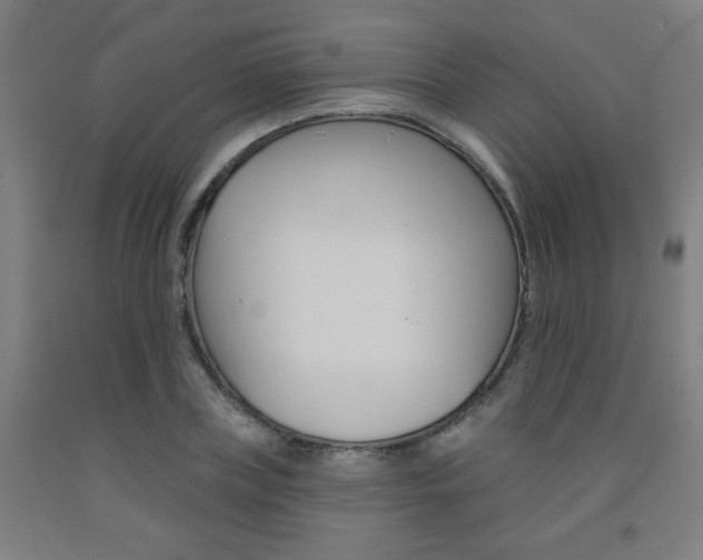 X0000093130835200709261033