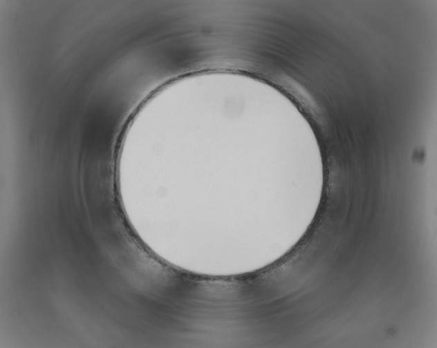 X0000093130836200709261033