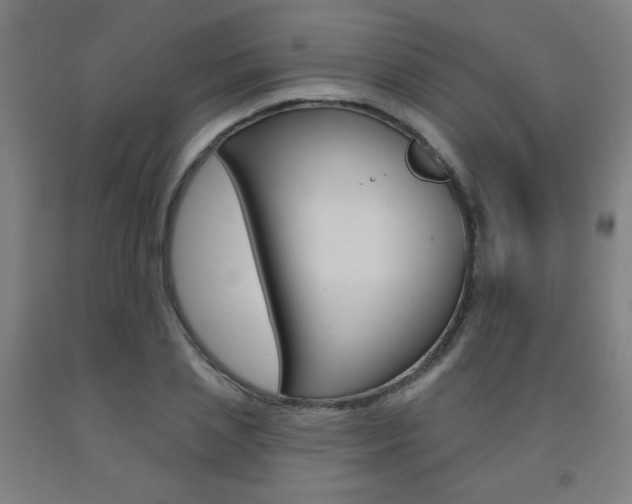 X0000093130837200709261033