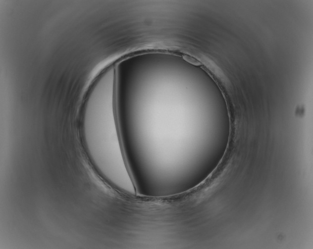 X0000093130838200709261033