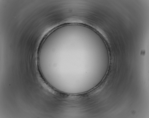X0000093130840200709261033