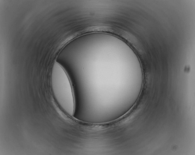 X0000093130841200709261033