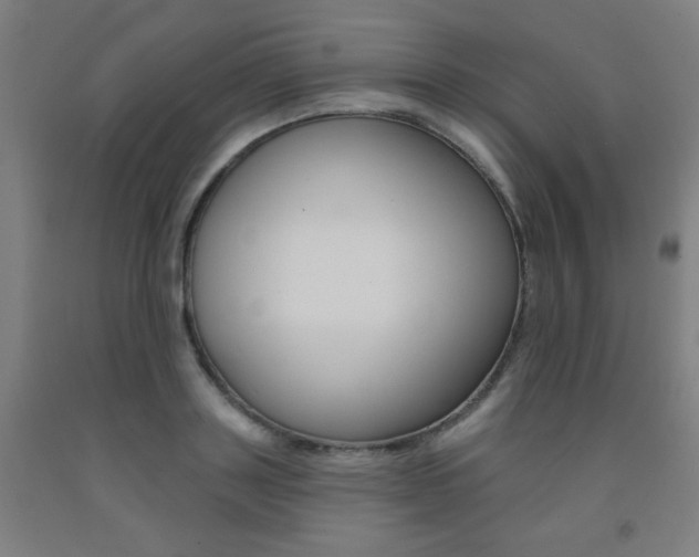 X0000093130843200709261033