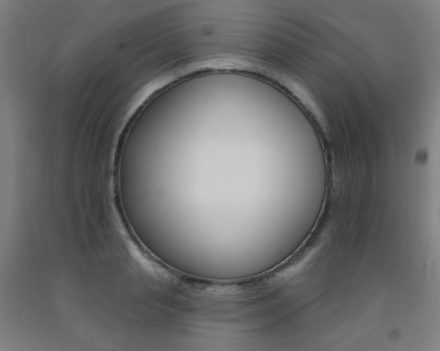 X0000093130845200709261033