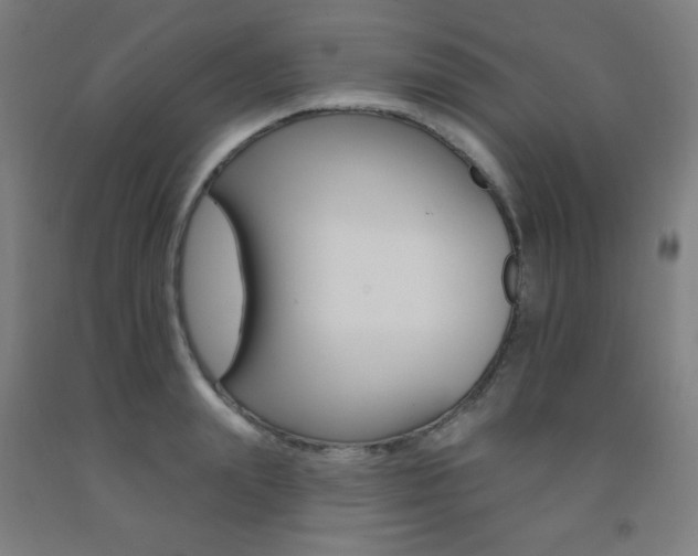 X0000093130847200709261033