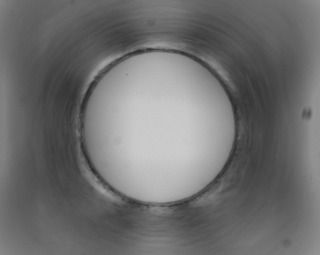 X0000093130848200709261033