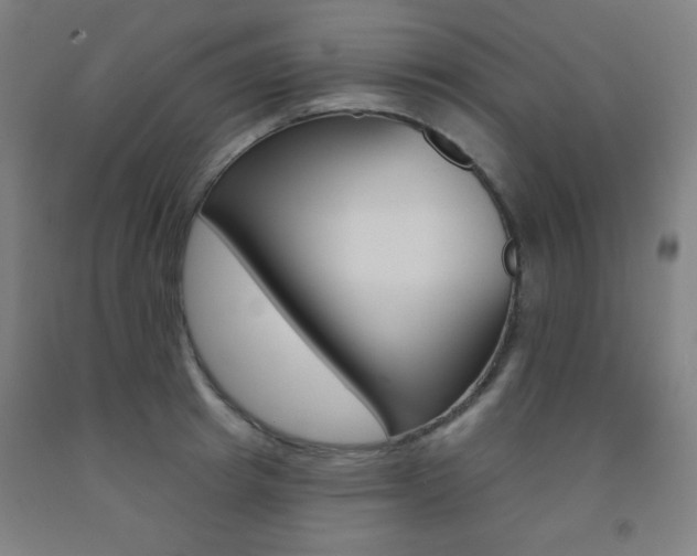 X0000093130849200709261034