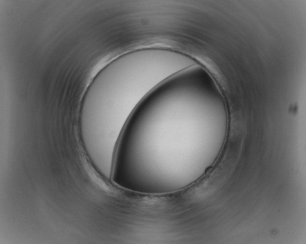 X0000093130850200709261034