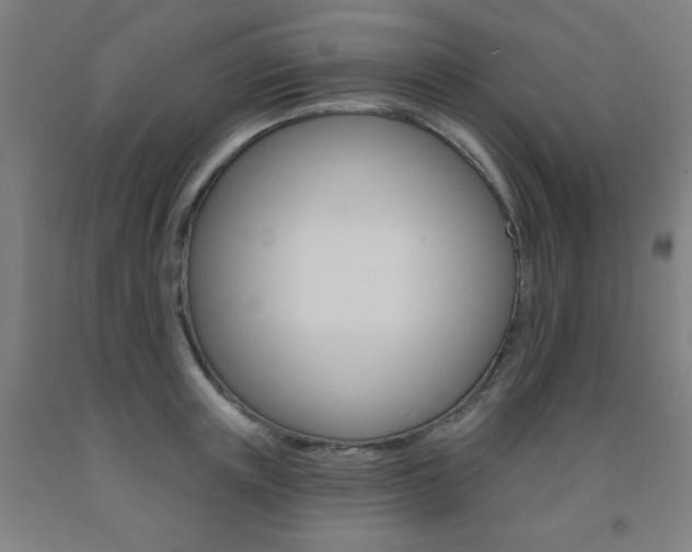 X0000093130851200709261034