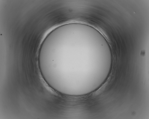 X0000093130854200709261034