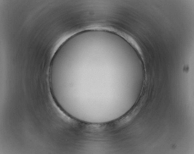 X0000093130855200709261034