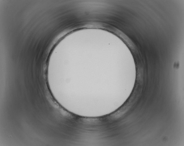 X0000093130856200709261034