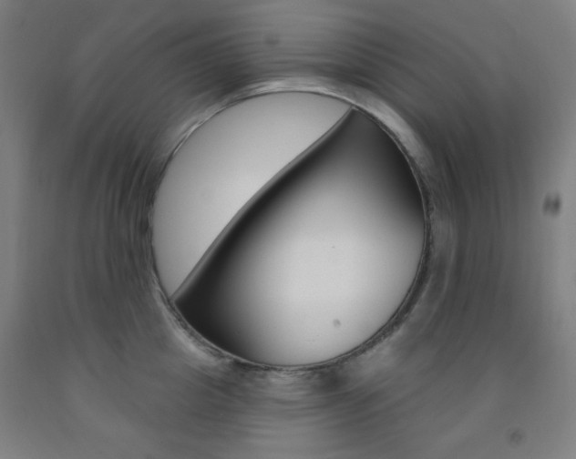 X0000093130857200709261034