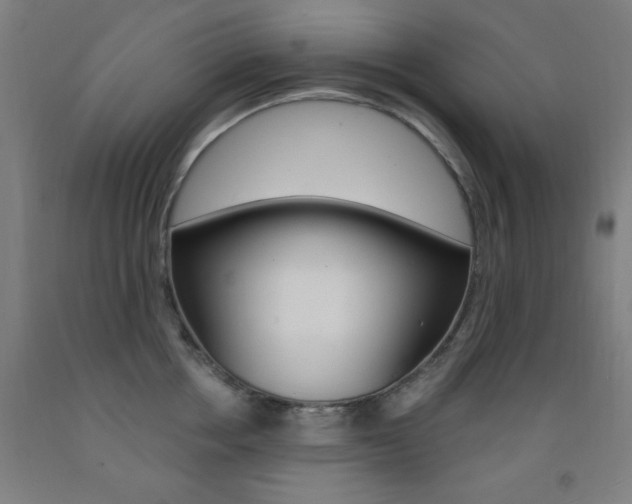 X0000093130858200709261034