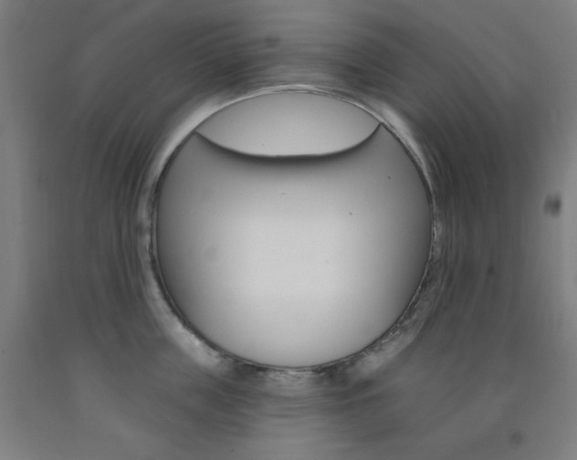 X0000093130859200709261034