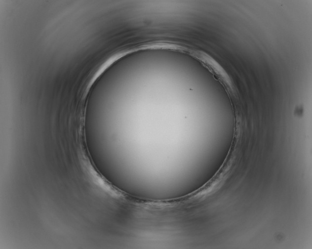X0000093130860200709261034