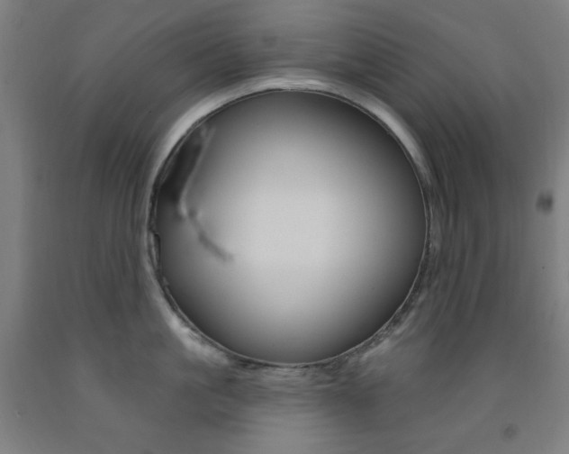 X0000093130861200709261034