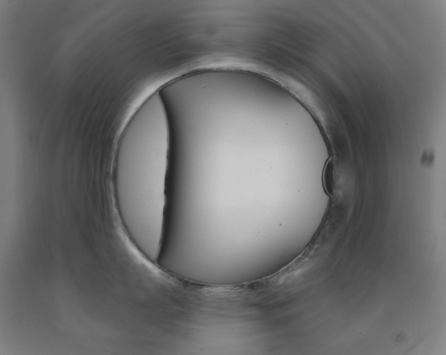 X0000093130863200709261034