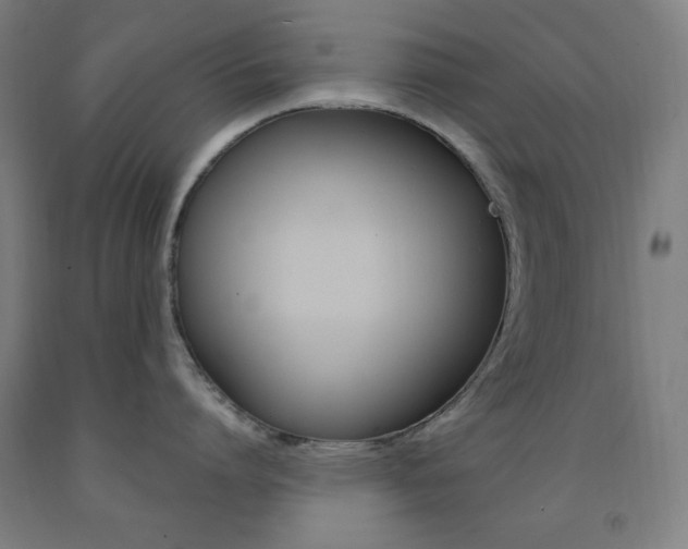 X0000093130864200709261034