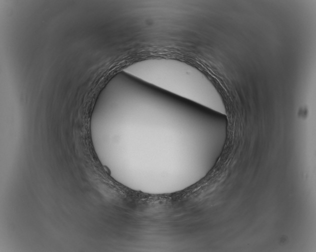 X0000093130865200709261033