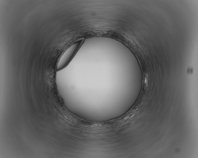 X0000093130867200709261033