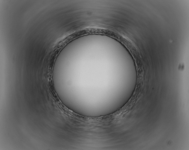 X0000093130870200709261033