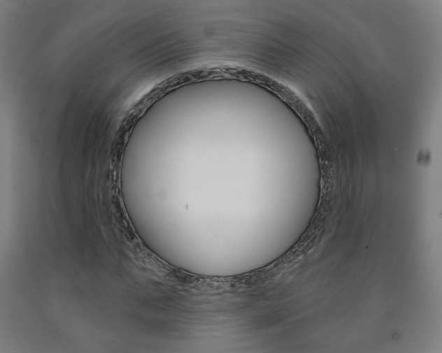 X0000093130871200709261033