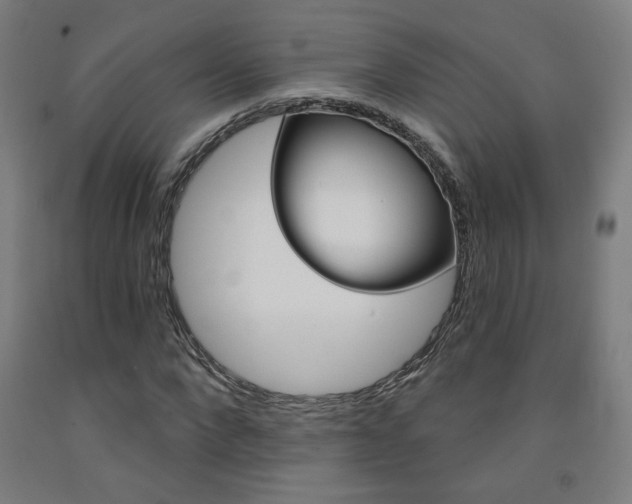 X0000093130872200709261033