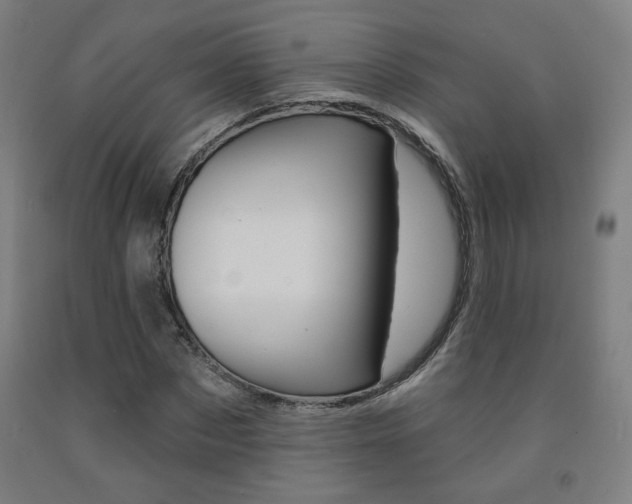 X0000093130873200709261033
