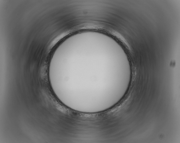 X0000093130874200709261033
