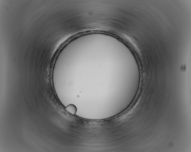 X0000093130875200709261033