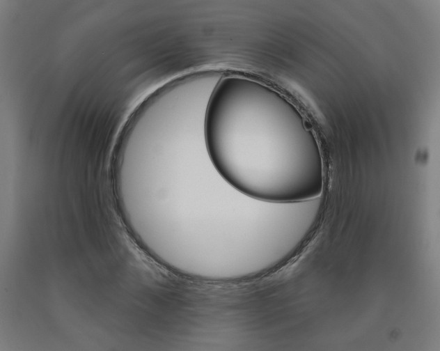 X0000093130876200709261033