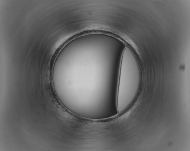 X0000093130877200709261033