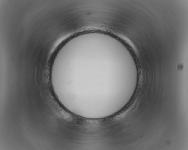 X0000093130878200709261033