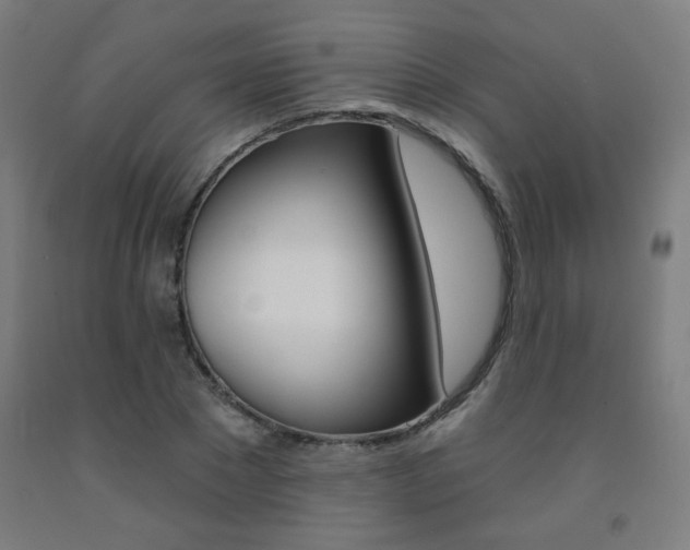 X0000093130881200709261033
