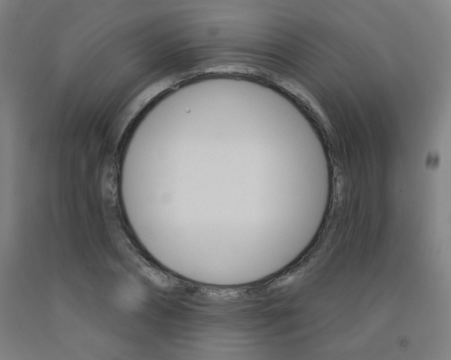 X0000093130882200709261033