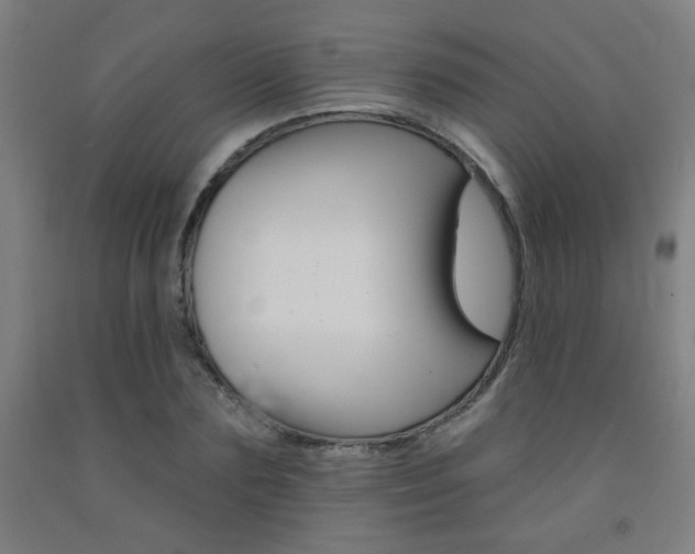 X0000093130883200709261033