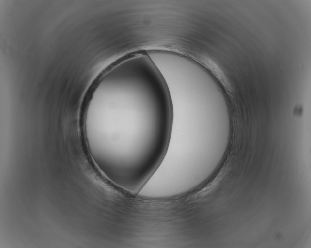 X0000093130884200709261033
