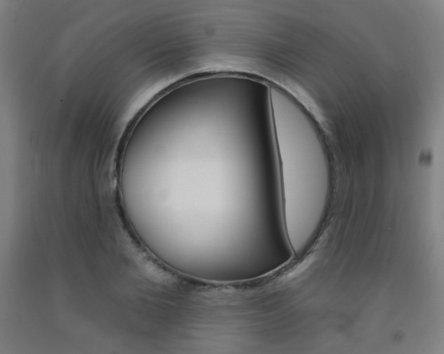 X0000093130885200709261033