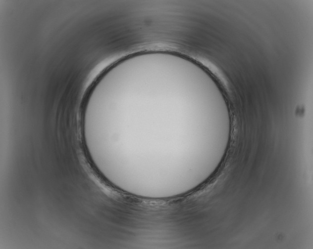 X0000093130886200709261033