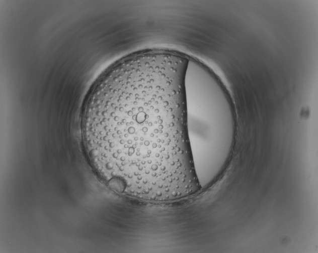 X0000093130887200709261033