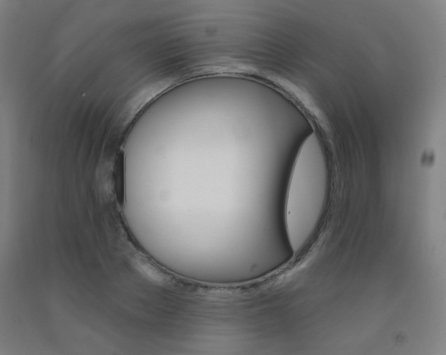 X0000093130889200709261033