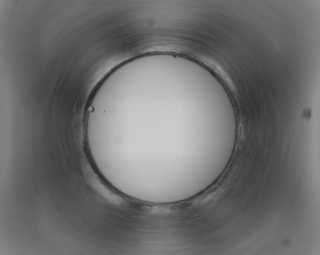 X0000093130890200709261033