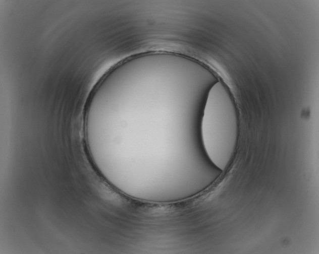 X0000093130891200709261033