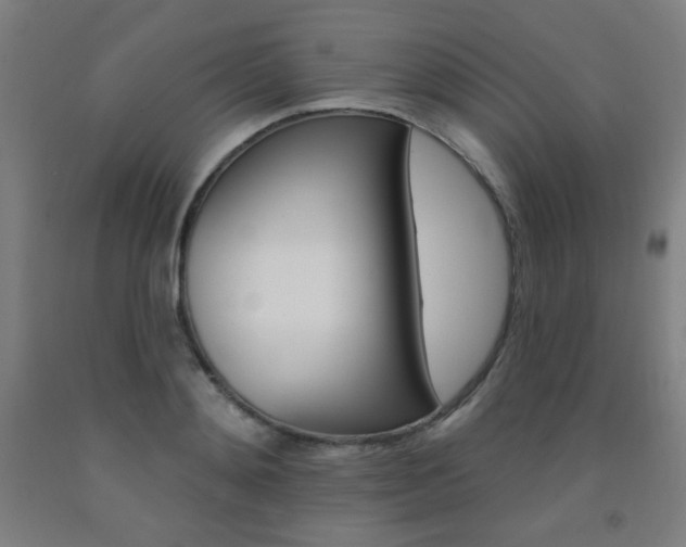 X0000093130892200709261033