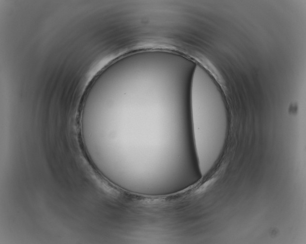 X0000093130893200709261033