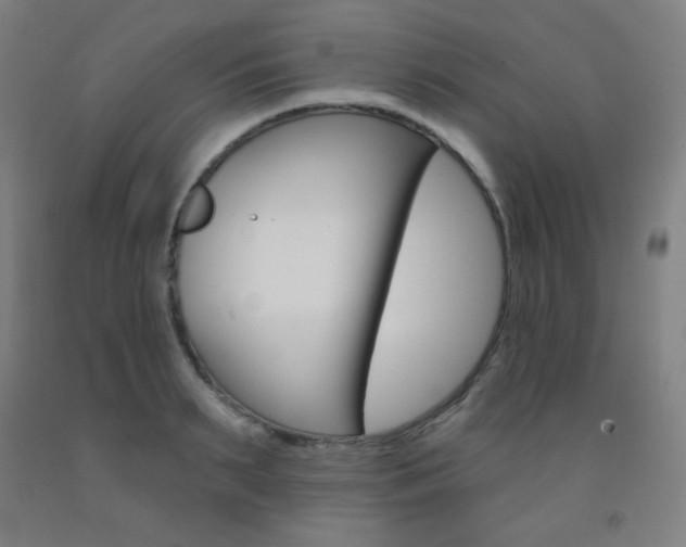 X0000093130895200709261033
