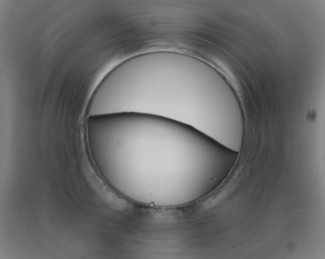 X0000093130899200709261033