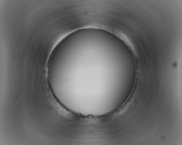 X0000093130900200709261033