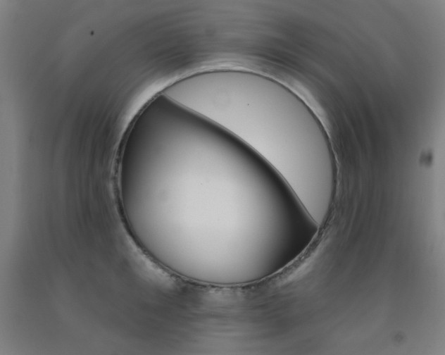 X0000093130901200709261033